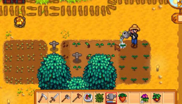 星露谷物语里怎么扩大背包1