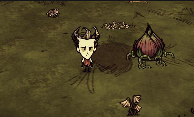 饥荒有哪些实用技巧1