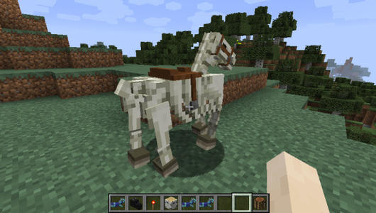 我的世界骷髅马饲料介绍1