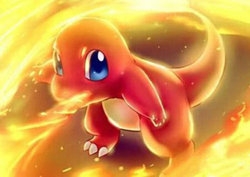 精灵宝可梦小火龙性格选择推荐1