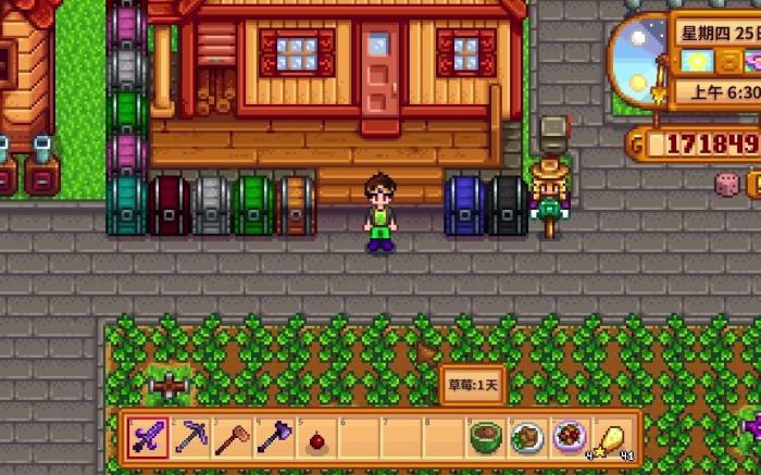 星露谷物语永动道具有哪些1