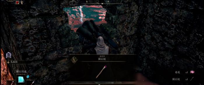 艾尔登法环观星者怎么开荒2