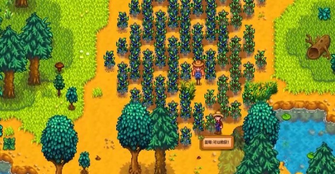 星露谷物语绵羊流赚钱如何发展3