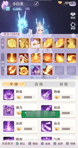 代号西行合宠怎么玩2