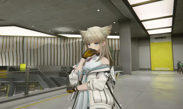 明日方舟终末地佩里卡角色强度解析2