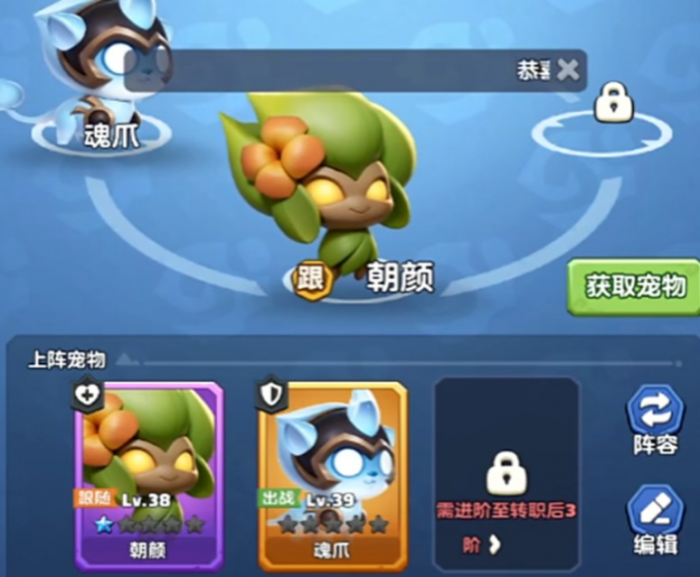 勇者联盟战士宠物搭配指南5