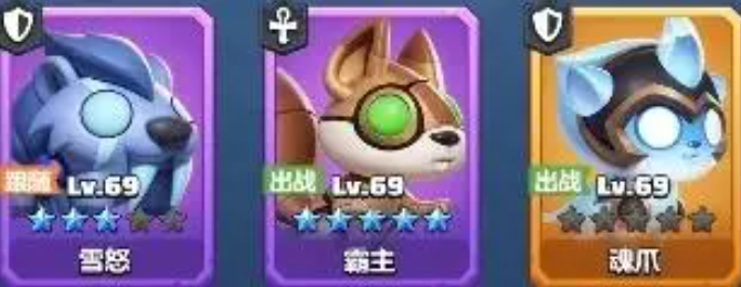 勇者联盟战士带什么宠物好4