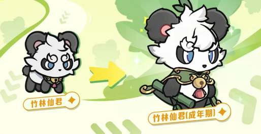 杖剑传说竹林仙君怎么样1