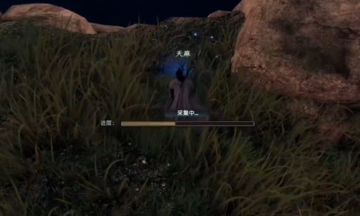 下一站江湖2天麻在哪个山洞1