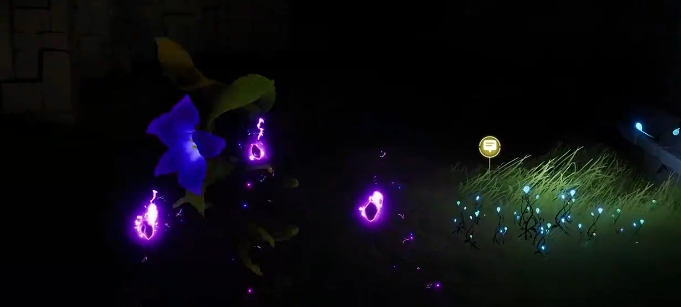 伊莫新手期宠物怎么选6