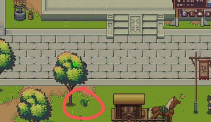 江城创业记野琴花采集方法1