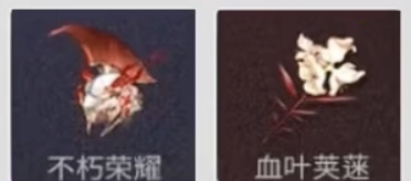 鸣潮露帕升级材料介绍3