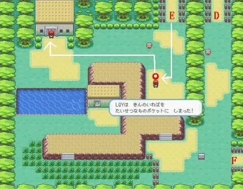 口袋妖怪火红山野市怎么出发1