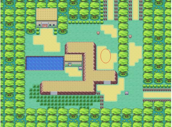 口袋妖怪火红山野市怎么出发2