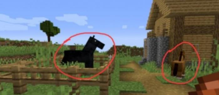 我的世界怎么驯服马1