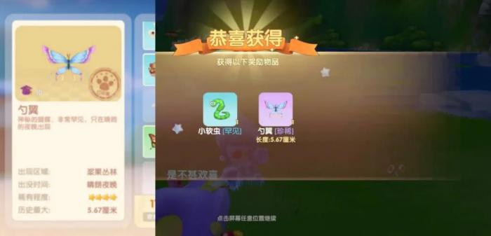 摩尔庄园农场鱼怎样才能捕获3