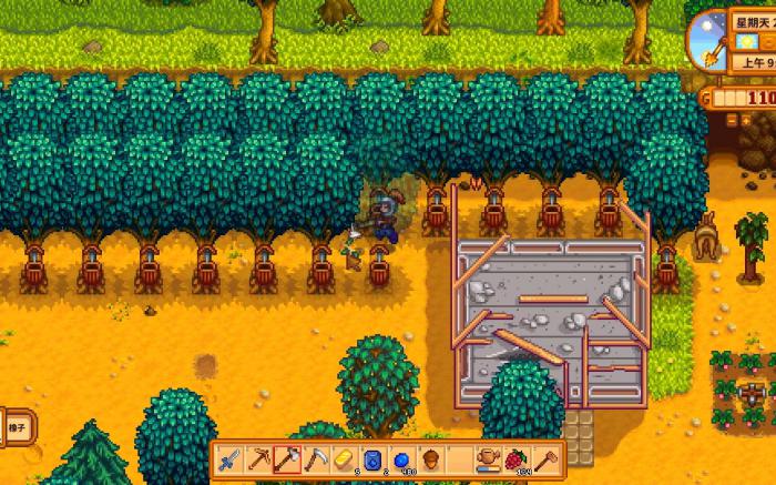 星露谷物语如何分辨所有的树木2