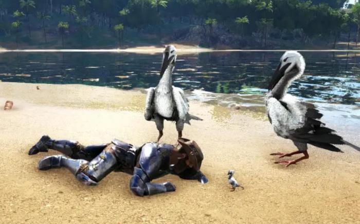 方舟生存进化鱼鸟特性是什么2