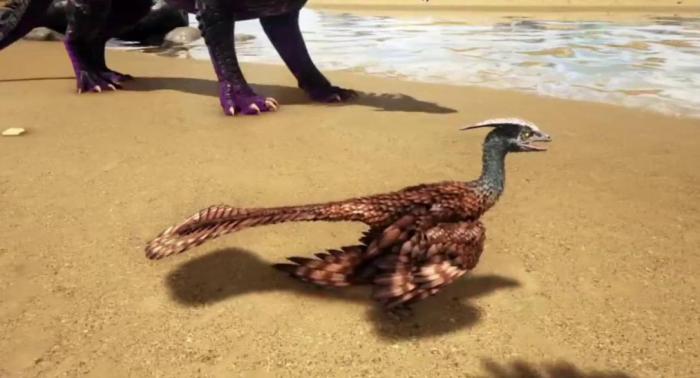 方舟生存进化鱼鸟特性是什么3