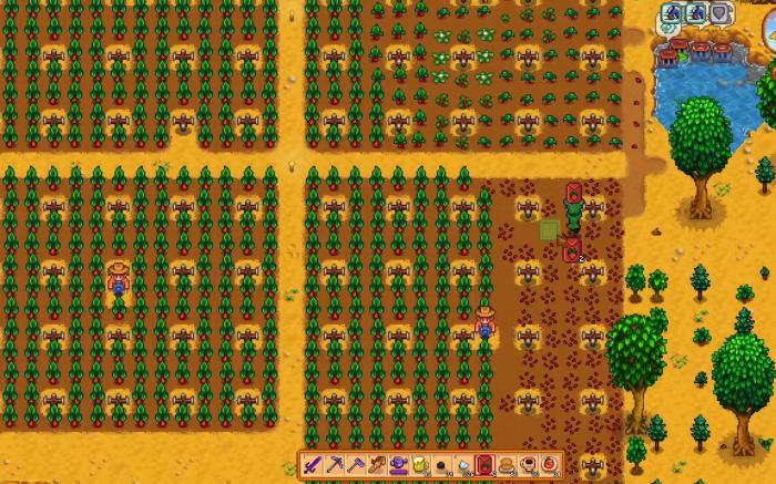 星露谷物语大黄的收益怎么样2