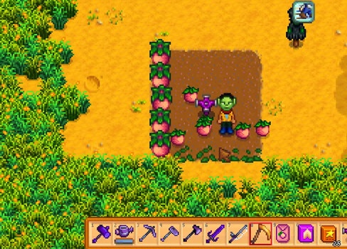 星露谷物语甜瓜有哪些作用3