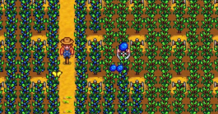 星露谷物语蓝莓怎么卖赚钱1