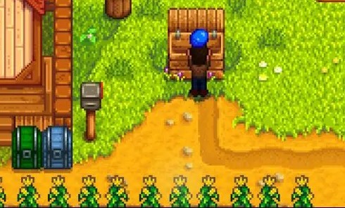 星露谷物语蓝莓怎么卖赚钱3