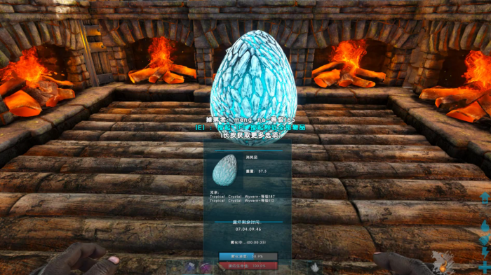 方舟生存进化中如何驯服翼龙蛋3