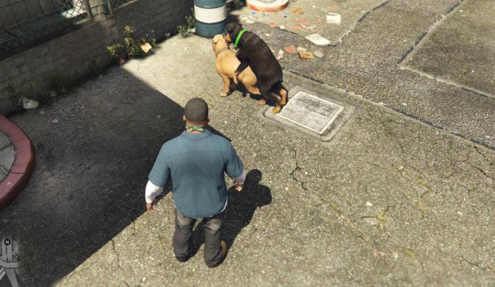 侠盗猎车手5刚进去怎么玩3