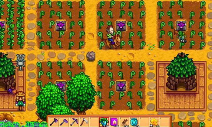 星露谷物语种什么树好看3