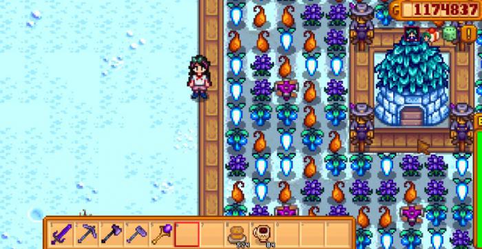 星露谷物语神秘任务怎么完成3