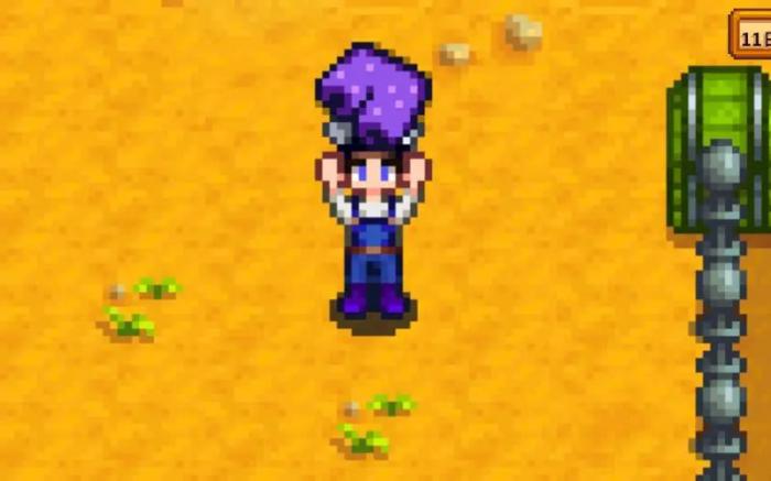 星露谷物语村长的内裤有什么用1