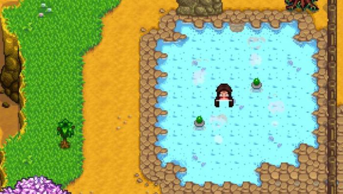 星露谷物语的温泉有什么作用1