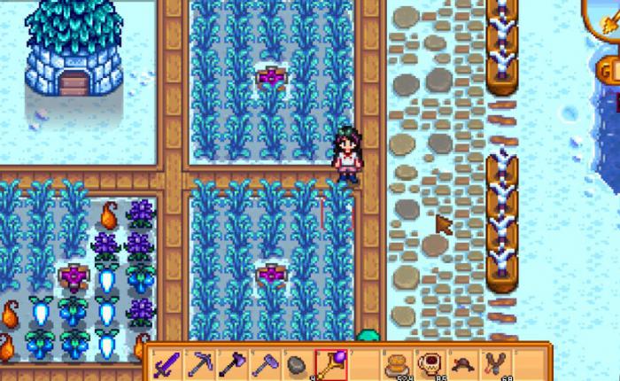 星露谷物语怎么获取硬木2