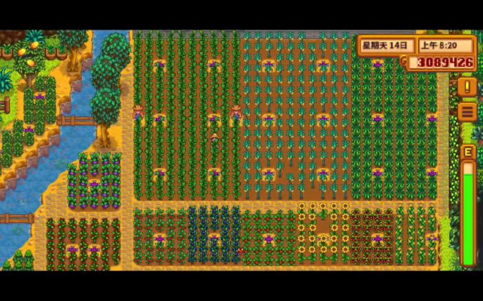 星露谷物语1.5姜岛怎么去1