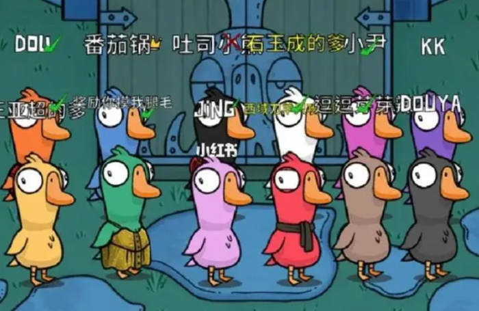 鹅鸭杀身份规则介是什么2