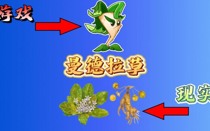 植物大战僵尸曼德拉草效果是什么1