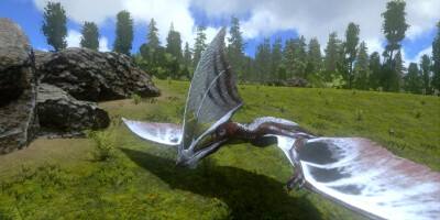 方舟生存进化古神翼龙怎么抓动物1