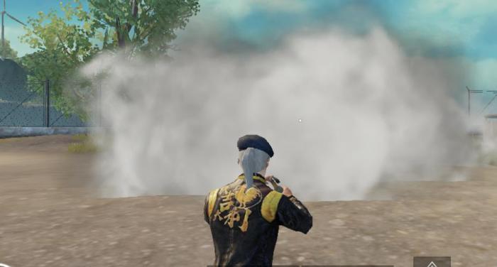 绝地求生投掷类武器有哪些1