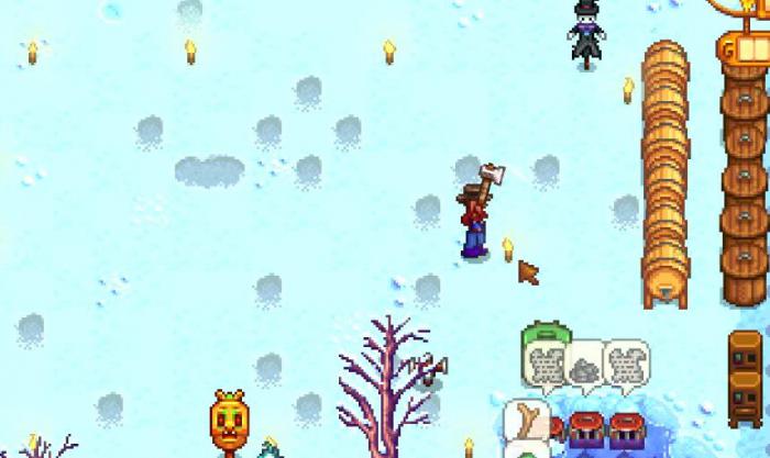 星露谷物语冬天应该干什么2