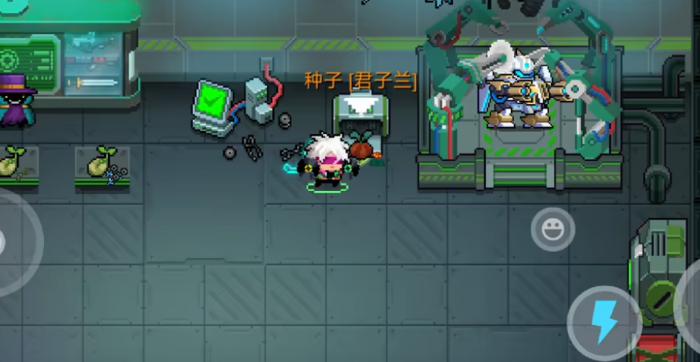 元气骑士君子兰有着什么作用1