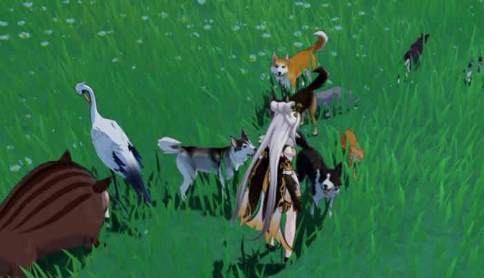 原神中如何捕捉动物2