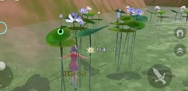 创造与魔法莲子羊汤配方怎么制作2