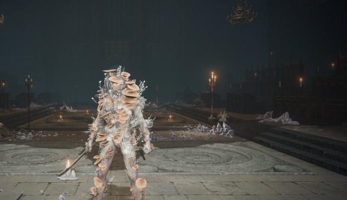 艾尔登法环防御性最高的套装有哪些1