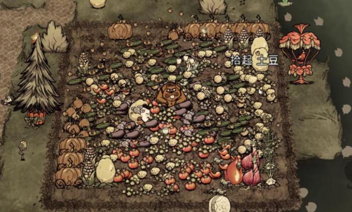 饥荒联机版如何控制作物压力2