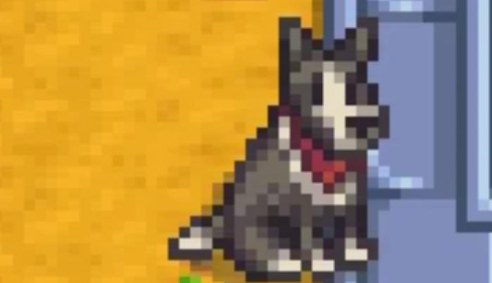 星露谷物语宠物狗饲养有哪些好处2