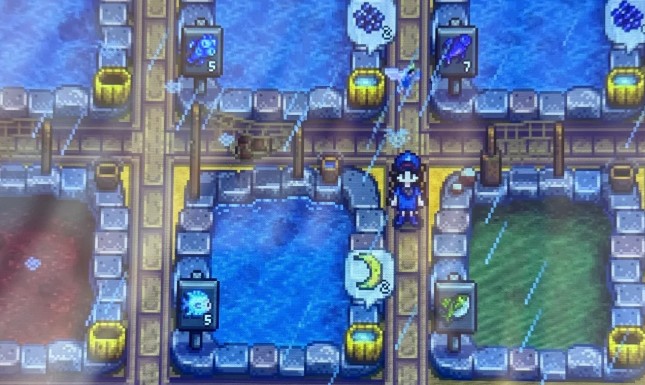 星露谷物语蓝铁饼鱼有哪些特性2