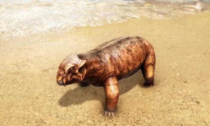 方舟生存进化水龙兽怎么驯服1