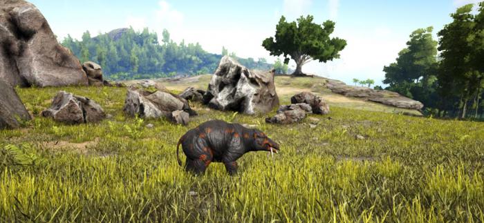 方舟生存进化渐新象怎么驯服1