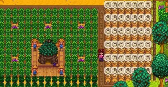 星露谷物语如何获取咖啡2